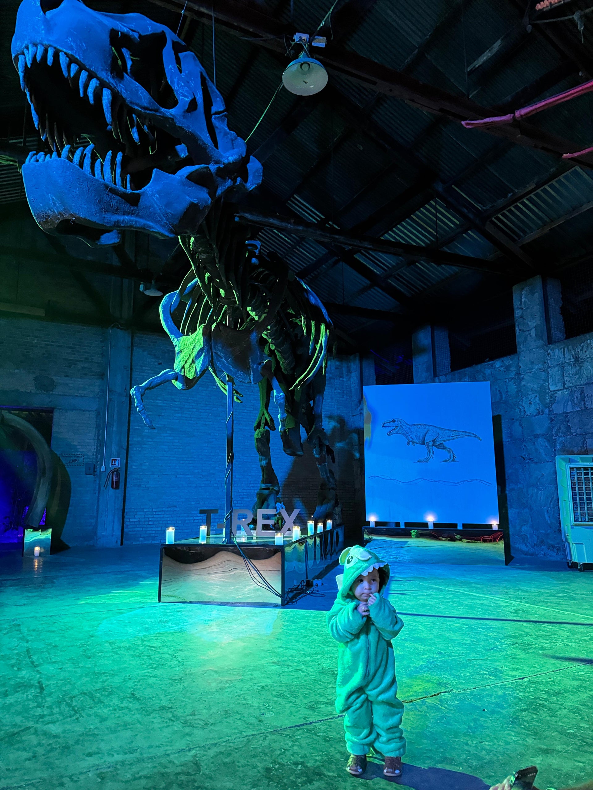 Sábado de Noches de Museo
